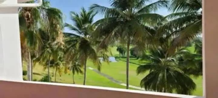 Experience Margaritaville Golf And Shopping Rio Grande 0*,  Puerto Rico