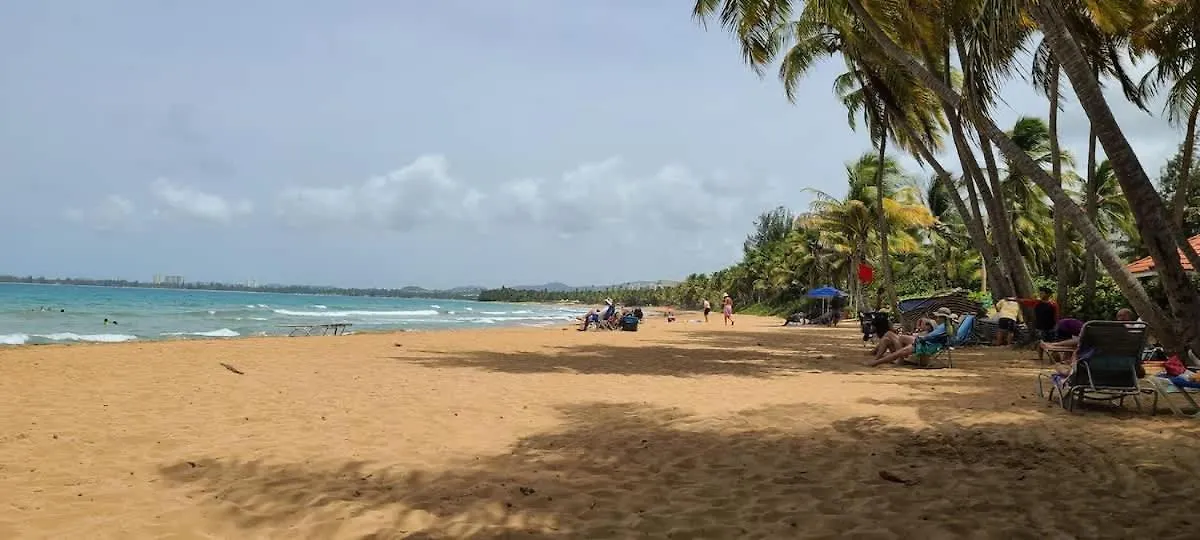 Experience Margaritaville Golf And Shopping Rio Grande 0*,  Puerto Rico